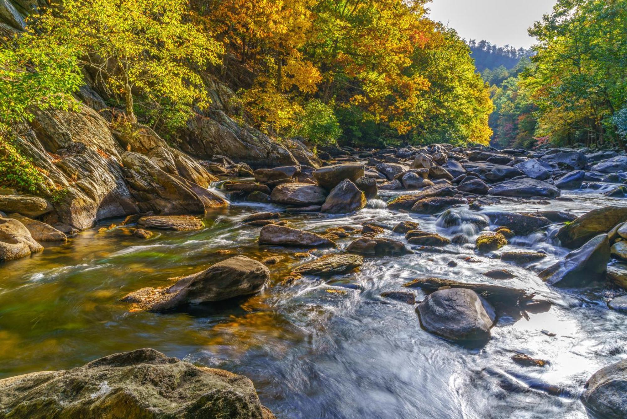 Komfy Kozy, 3 Bedrooms, Sleeps 10, Views, Game Room, Pool Access, WiFi Gatlinburg Buitenkant foto